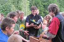img_7416.jpg