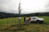 6B2012-3den-NE_17.jpg