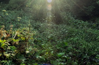 6B2012-5den-UT_05.jpg