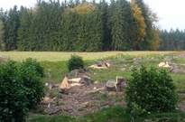 Ame_2_zarijova_2012_08.jpg