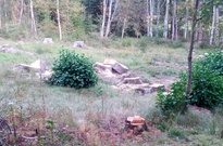 Ame_2_zarijova_2012_07.jpg