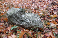 03_Podzimky-2012_03.jpg