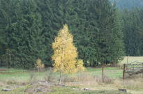 08_Podzimky-2012_04.jpg