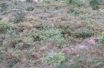 06_Podzimky-2012_07.jpg