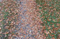 07_Podzimky-2012_08.jpg