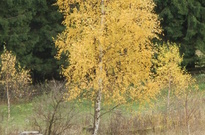 04_Podzimky-2012_05.jpg