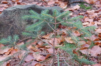 01_Podzimky-2012_02.jpg