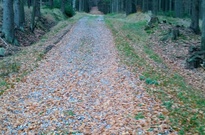 10_Podzimky-2012-mob_07.jpg
