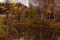 18_Podzimky_2012_40.jpg