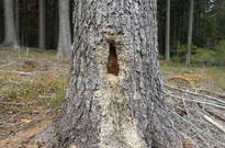 05_Podzimky-2012_06.jpg
