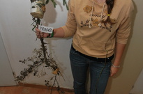 Podzimky_2012_25.jpg