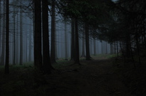 Podzimky_2012_05.jpg