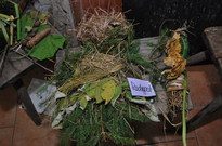 Podzimky_2012_27.jpg