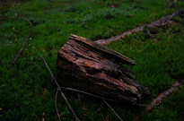 Podzimky_2012_04.jpg