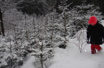 14_DSC08440.jpg