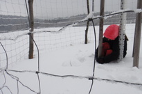 10_DSC08384.jpg