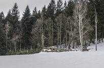 Velikonoce13_Ct_27.jpg