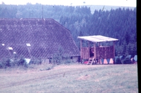 Americky_pravek_DOD21.jpg
