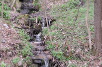 53_DSCN0652.jpg