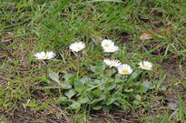 26_DSCN0523.jpg