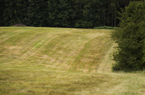 img_4992.jpg