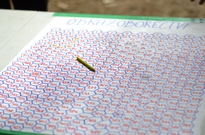 1beh 3den 2013-16.jpg