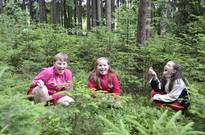 1beh_2013_13den-44.jpg
