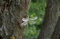 1beh_2013_13den-20.jpg