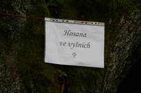 1beh_2013_13den-28.jpg