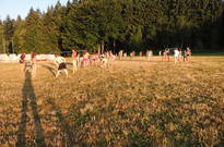 3. běh 2. den 2013 Ne