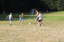 3B13-06den20.jpg