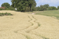 4B13_03den_45.jpg