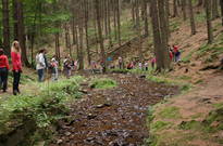 6B13-02den_26.jpg