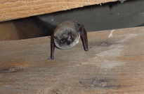 6B13-03den-30.jpg