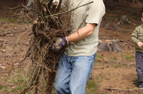 6B13-05den-20.jpg