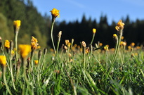 VK3_6537.jpg