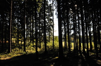VK3_6581.jpg