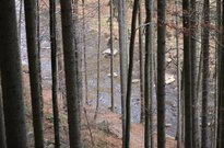 podzimky 2013_064.jpg