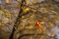 podzimky 2013_058.jpg