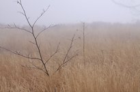 podzimky 2013_004.jpg