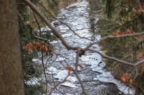 2014_01_Pololetky_28.jpg