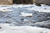 2014_01_Pololetky_29.jpg