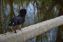 DSC_2127.jpg