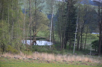 DSC_2197.jpg