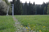 DSC_2200.jpg