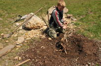 VK3_9208.jpg