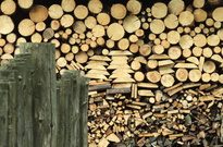 Stavecky2014_27.jpg