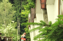 Stavecky2014_24.jpg