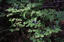 běh1_den_06_22.jpg