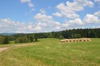 běh1_den_10_05.jpg
